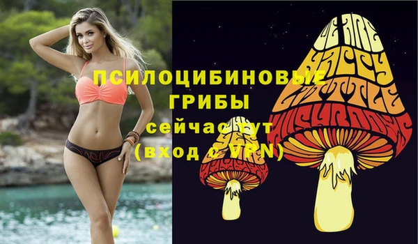 гашиш Богородицк
