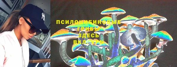 прущая мука Вуктыл