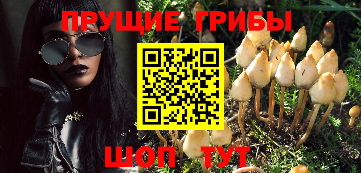 Галлюциногенные грибы мухоморы Кубинка